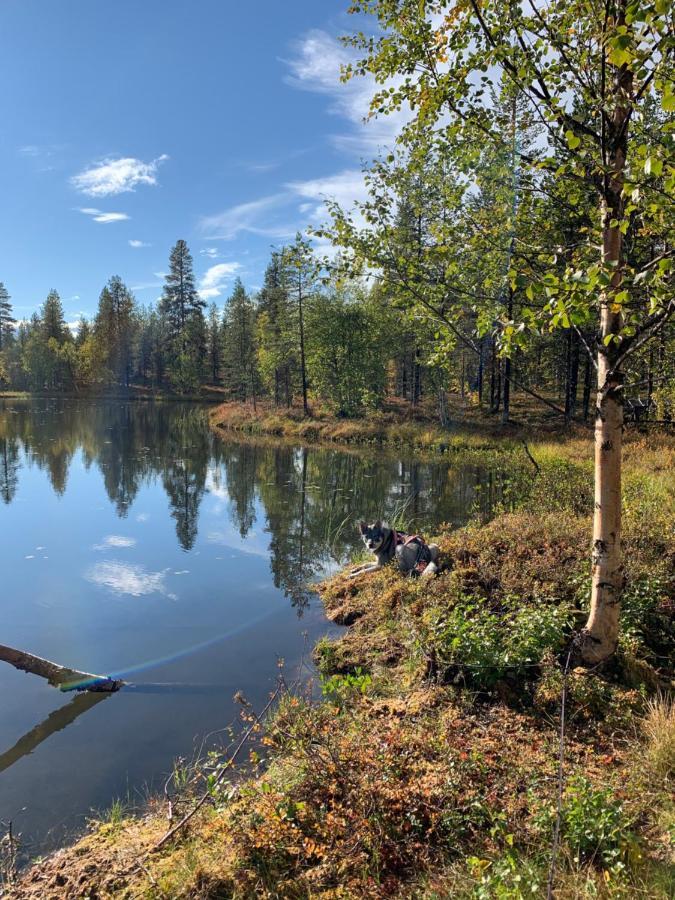 Off-Grid Cabin In Nattavaara Lapland Kültér fotó