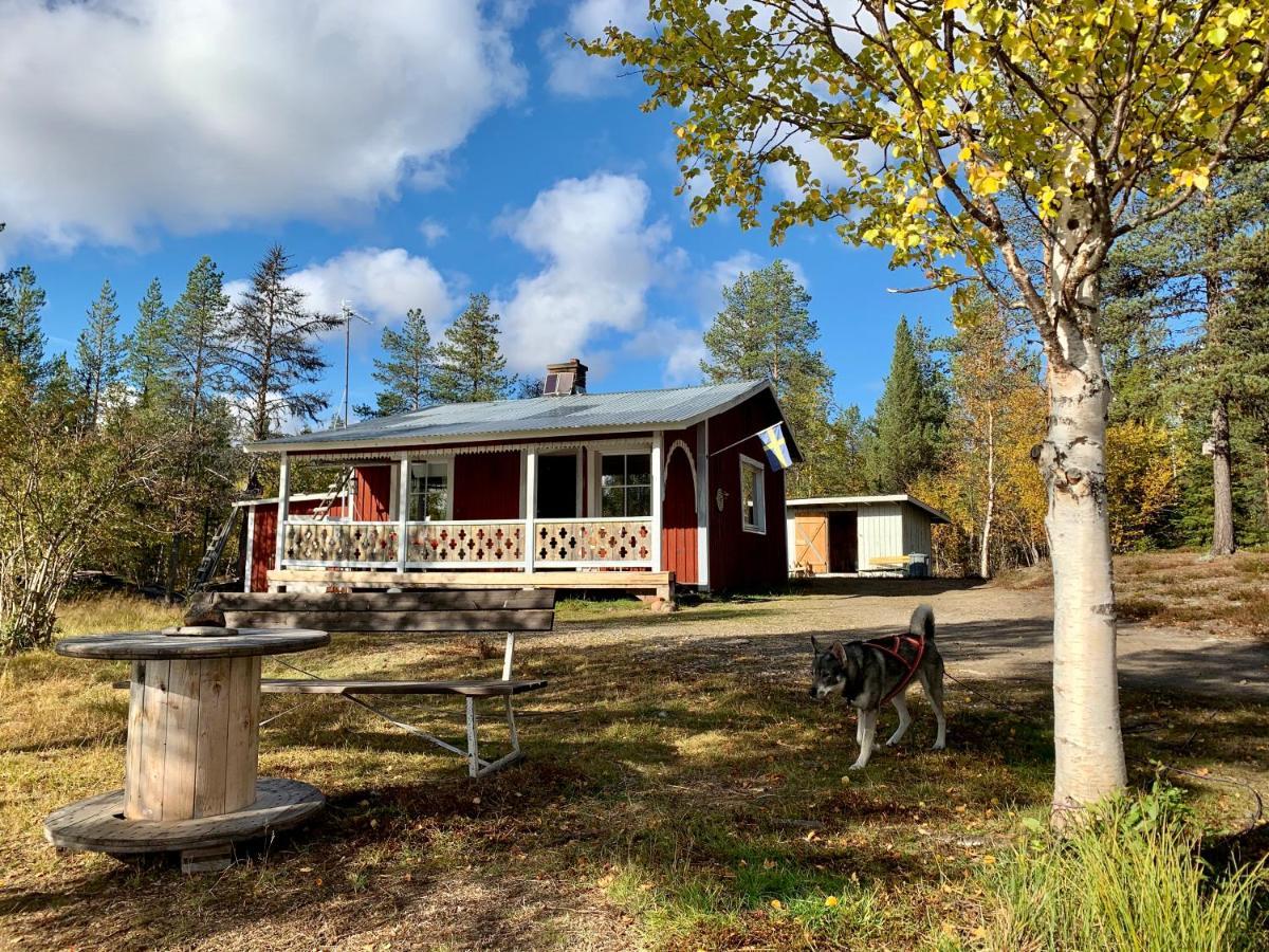 Off-Grid Cabin In Nattavaara Lapland Kültér fotó